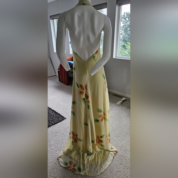 EUC Size 8 Flawless Silk Backless Gown - Picture 11 of 11